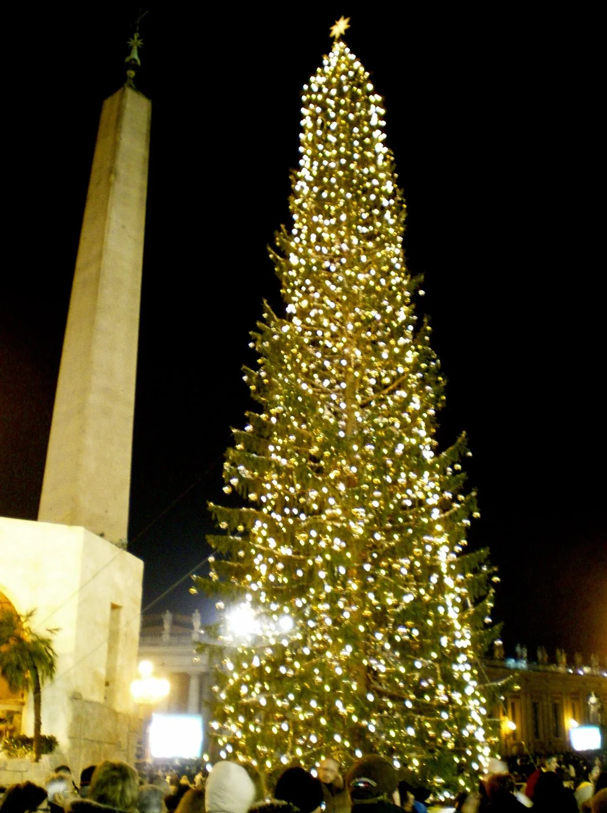 L'albero di Natale illuminato in Piazza San Pietro, accanto all'obelisco